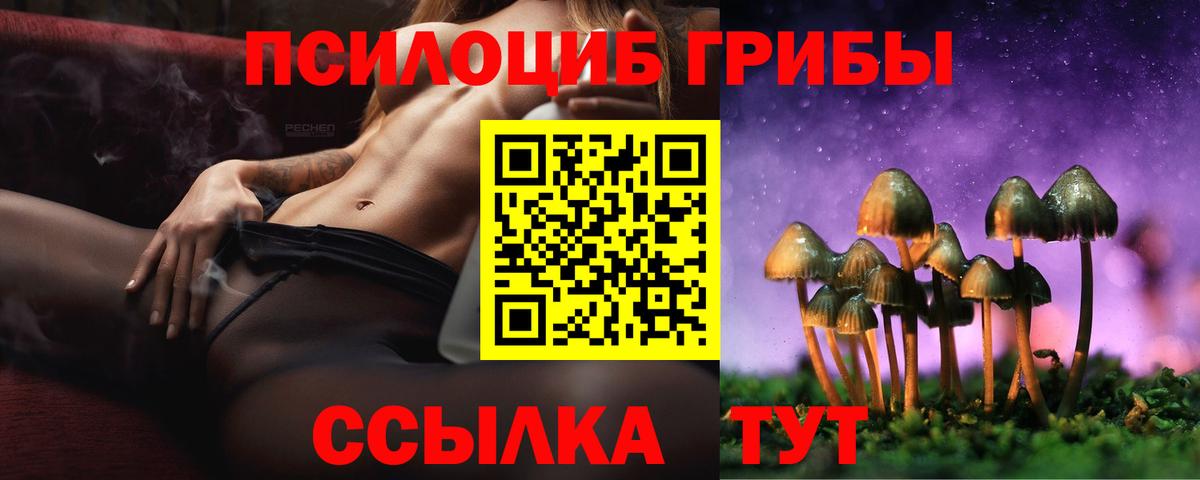 Галлюциногенные грибы Psilocybe  Вход с VPN  Вятские Поляны  Галлюциногенные грибы Psilocybe 