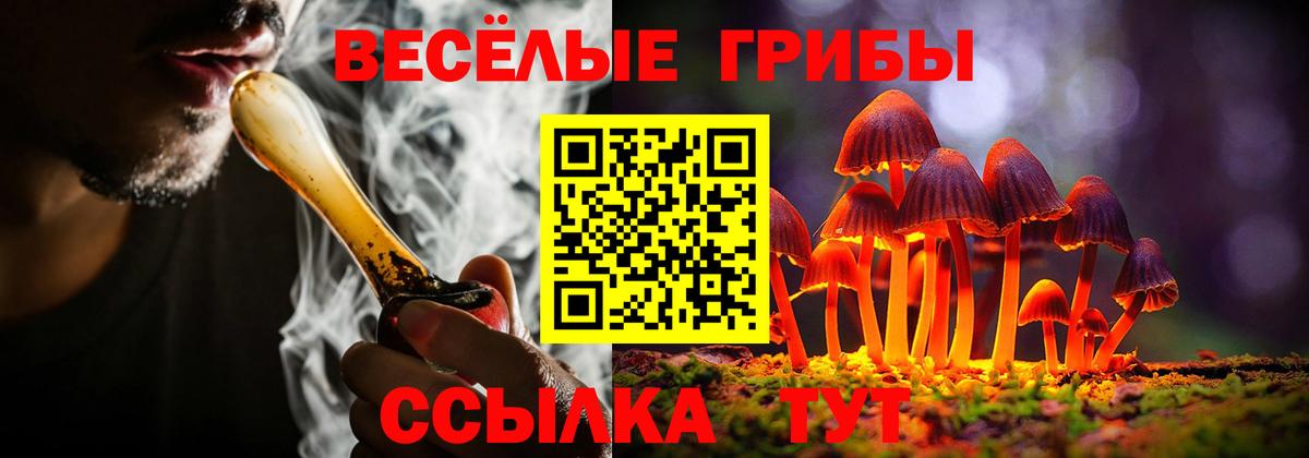 Псилоцибиновые грибы мухоморы Вятские Поляны